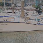 Fin & Tonic fishing charters Charleston SC